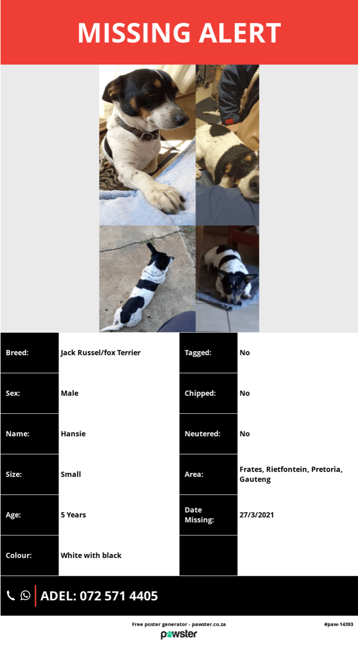 MISSING – HANSIE – Rietfontein Pretoria