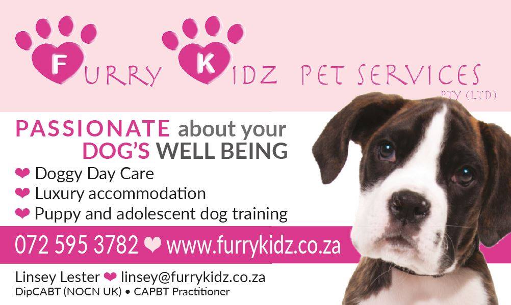 29216168_1511184948980500_7459640495526903808_o