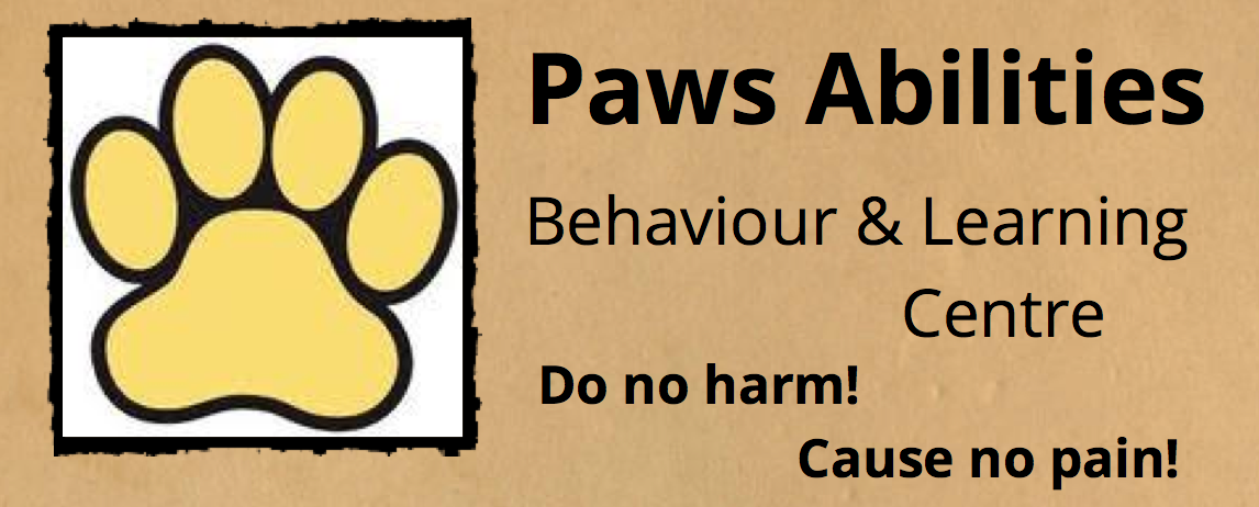 Screen-Shot-2015-01-27-at-10.53.51-AM