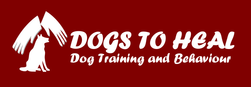 dtg-logo-on-red1-858x300