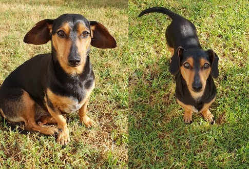 MISSING – YODA – PAROW, WC