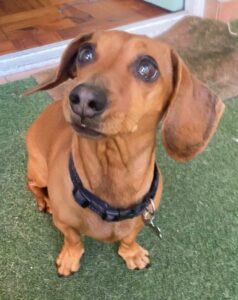 WhatsApp-Image-2023-09-17-at-15.03.56-238×300