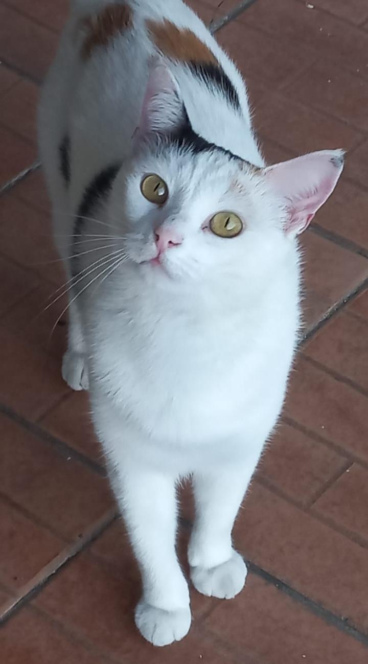 WhatsApp Image 2024-04-11 at 12.31.56_f6cb217b