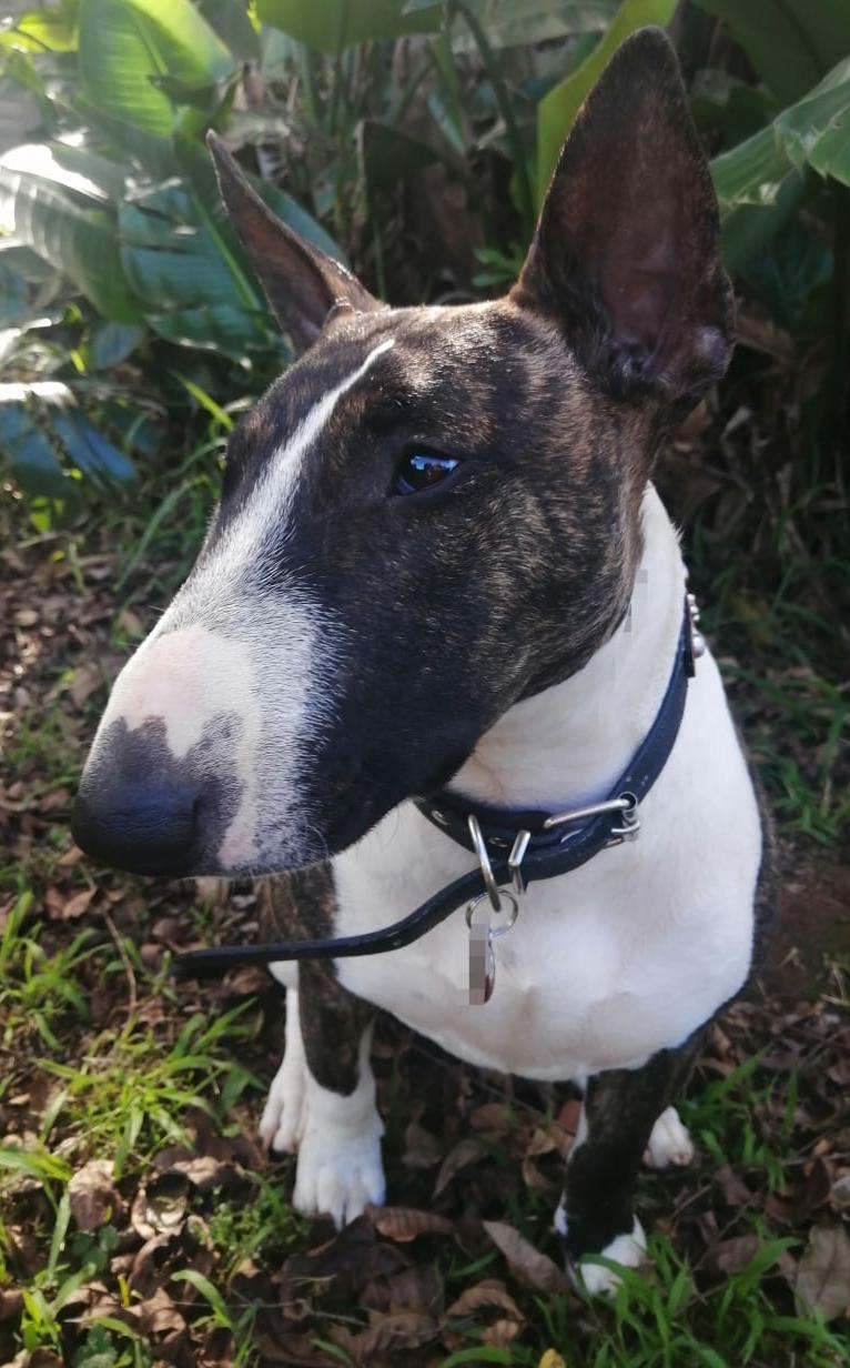 WhatsApp Image 2024-04-24 at 11.42.32_4879b6e2