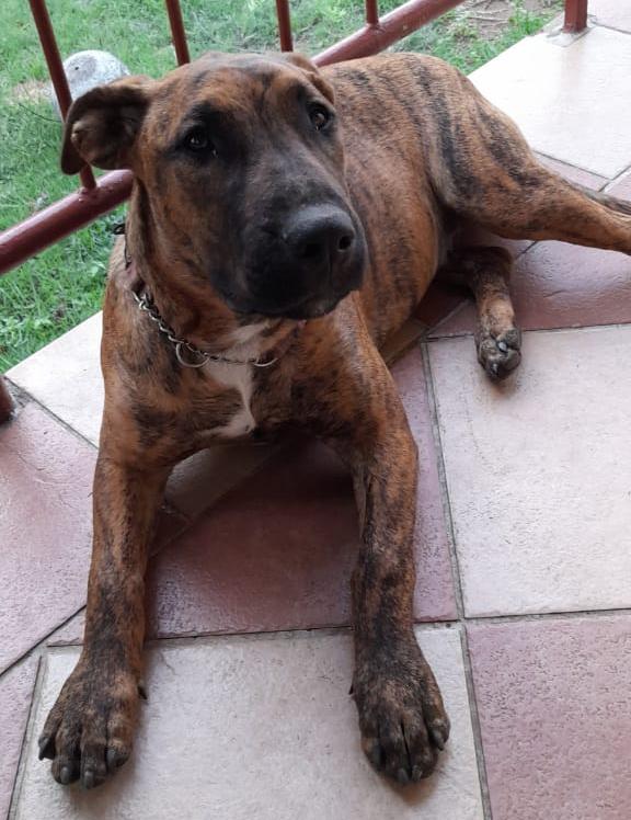 WhatsApp Image 2024-06-03 at 13.30.47_773005a2