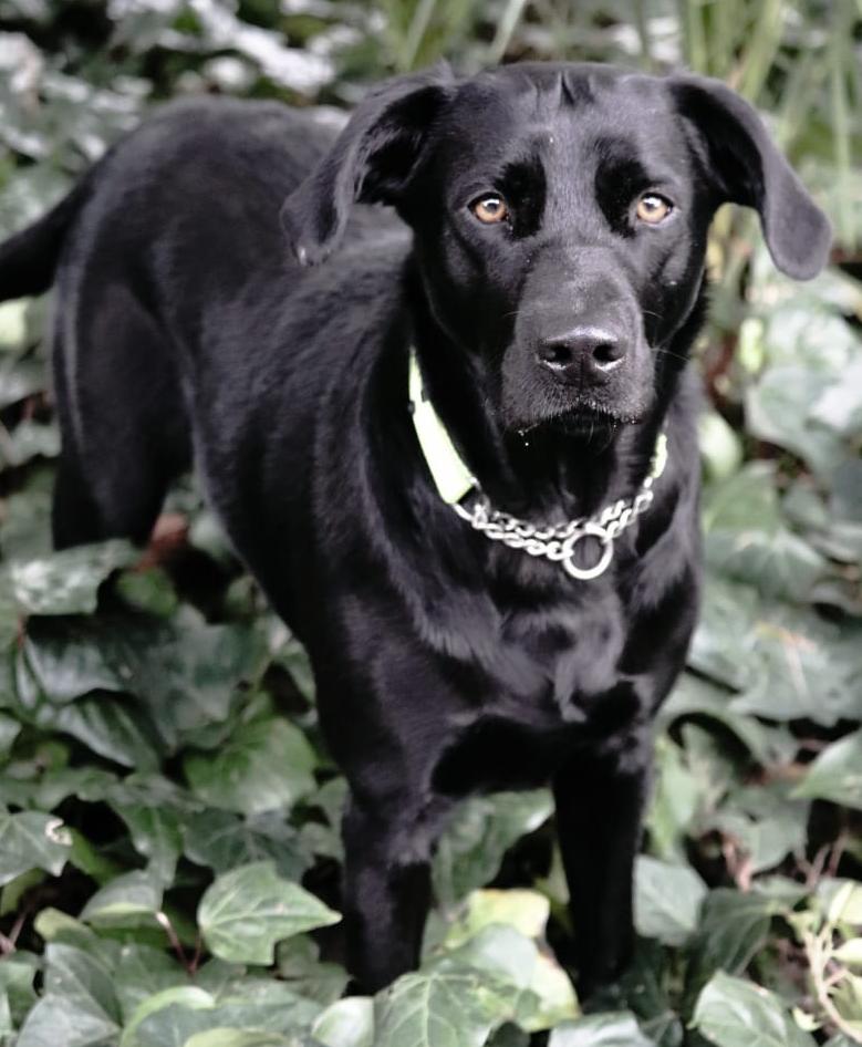 WhatsApp Image 2024-07-19 at 15.25.10_9eaf88ff