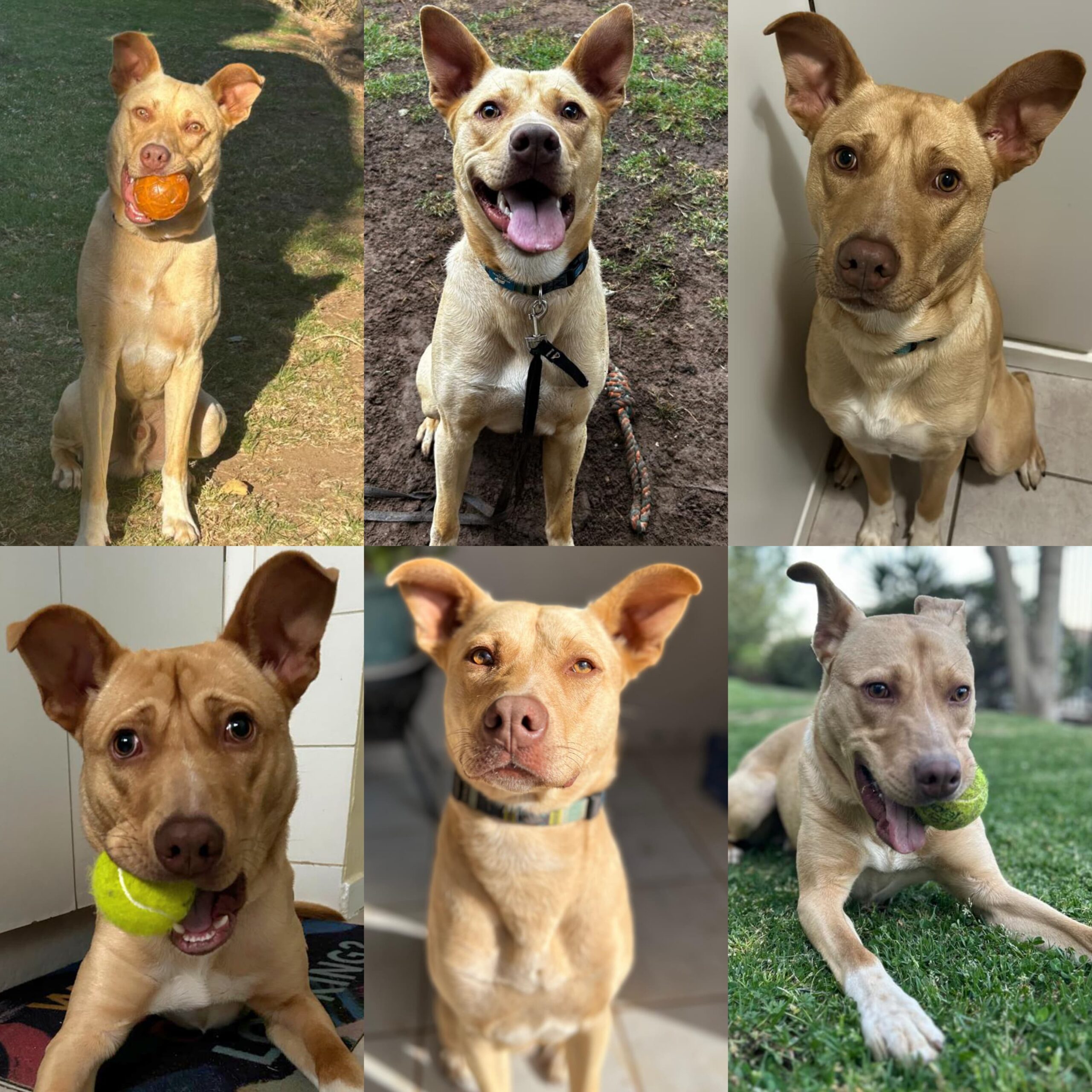 WhatsApp Image 2025-01-07 at 14.05.40_11f36ebc