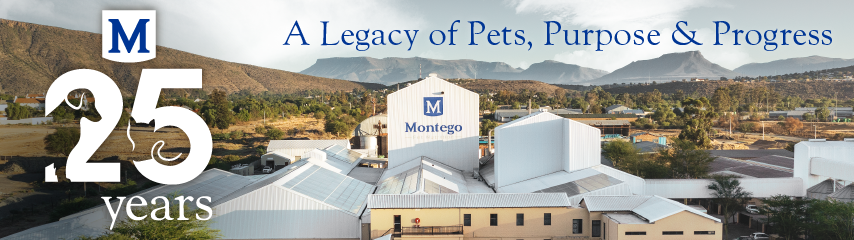 04575 MTGO NATIONAL CAMPAIGN WEBSITE BANNERS_BM 854 x 240