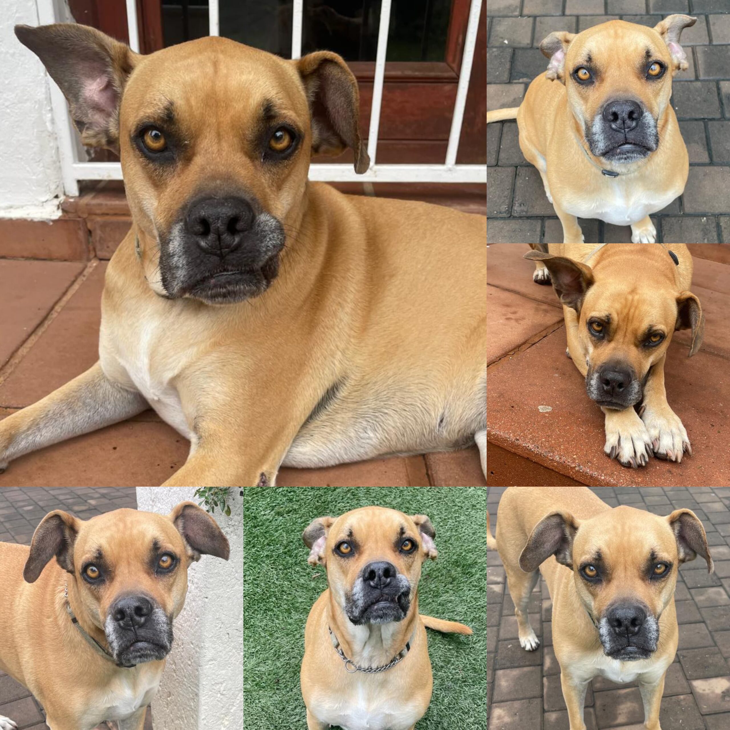 WhatsApp Image 2025-04-08 at 12.24.40_6ee091ba