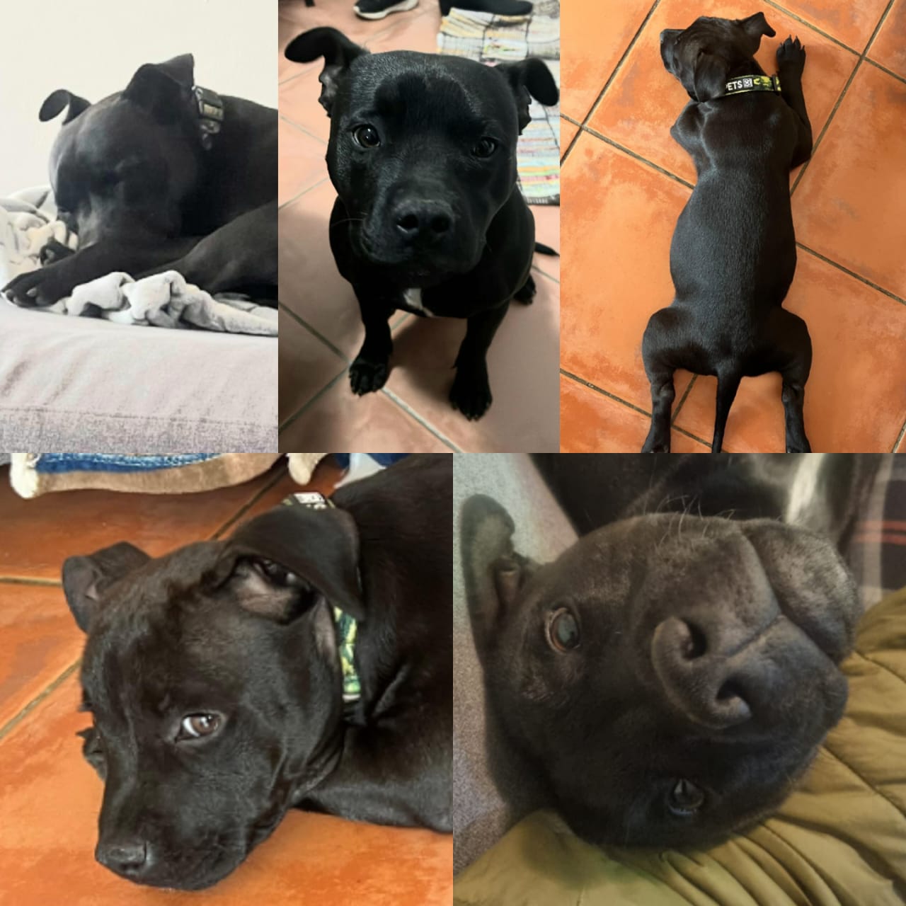 WhatsApp Image 2025-07-23 at 11.04.00_86833adc