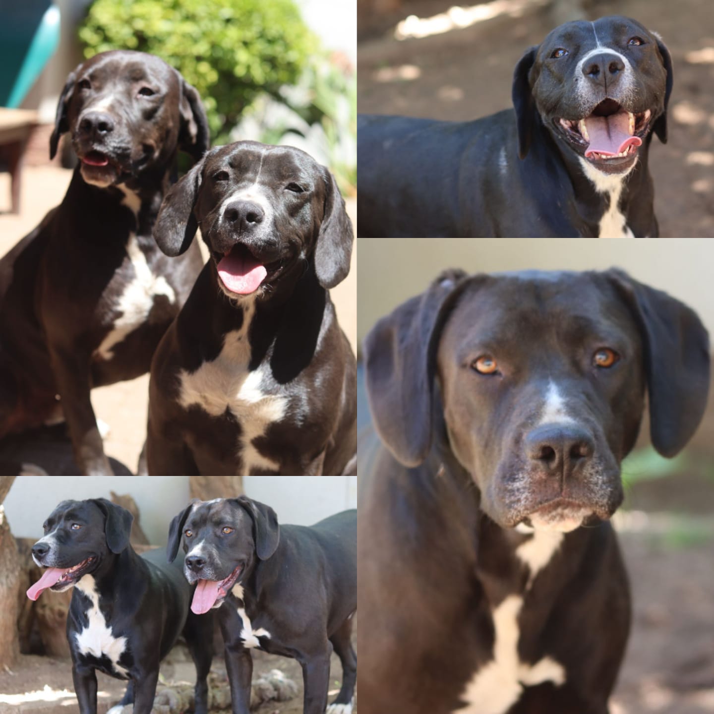 WhatsApp Image 2025-10-23 at 14.00.07_08a831e8