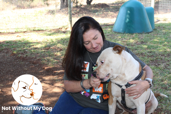Tracy from BarkingMad with a dog talking about Not Without My Dog campaign