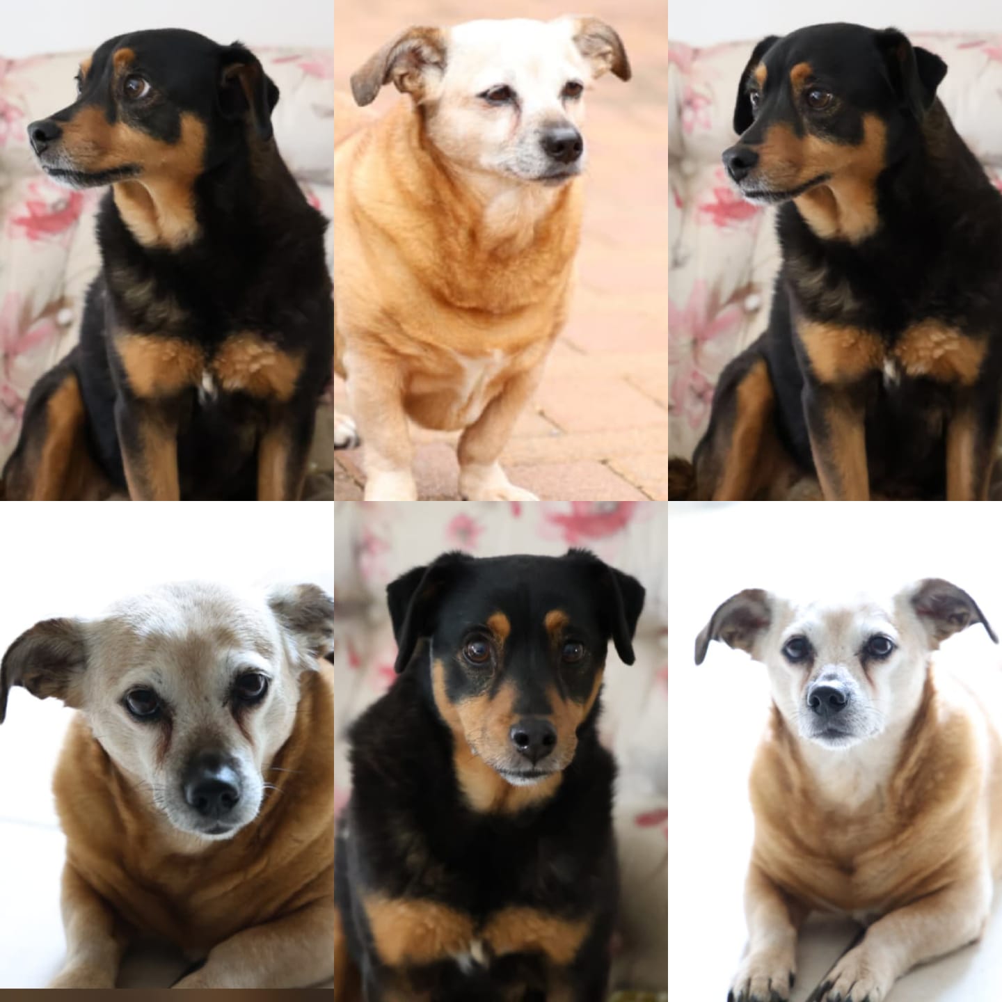 WhatsApp Image 2025-10-07 at 13.28.38_d01904f8