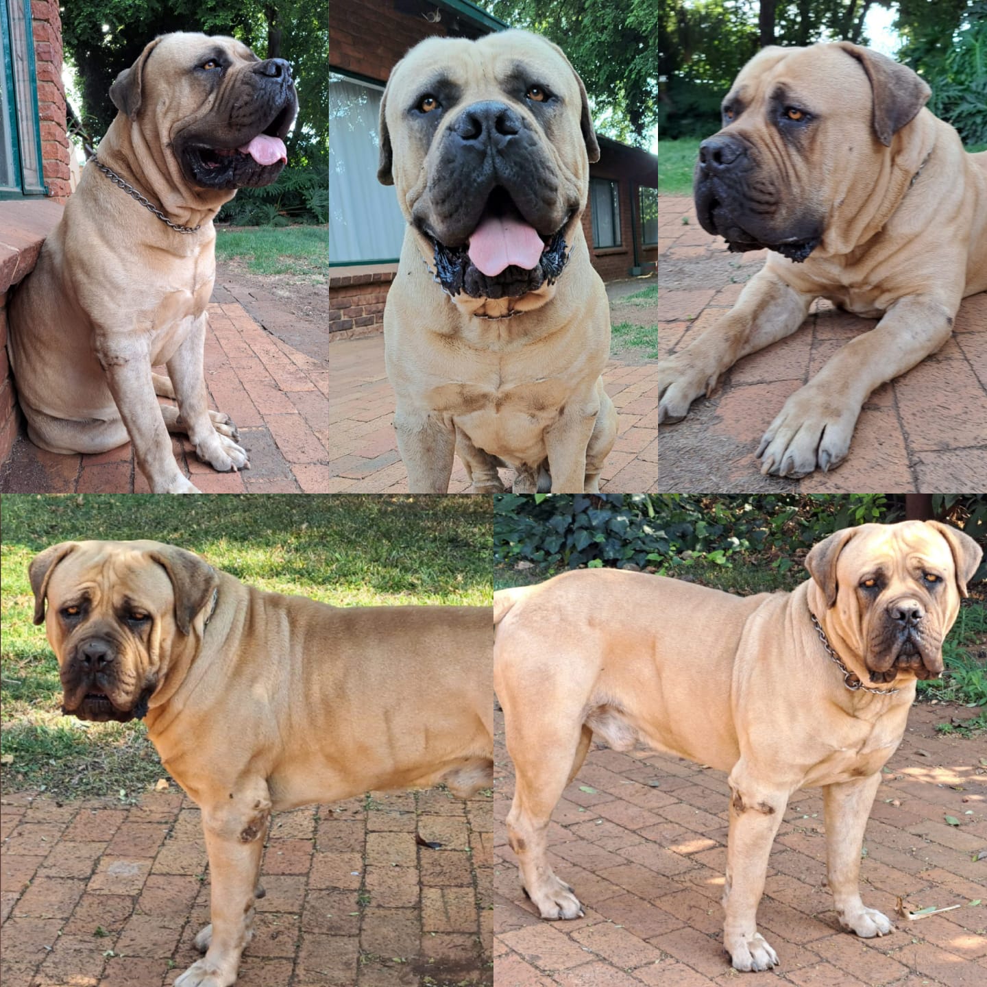 WhatsApp Image 2025-10-15 at 14.34.06_2b96d378