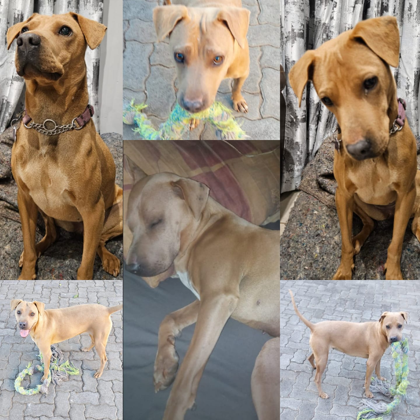 WhatsApp Image 2025-10-17 at 16.54.00_dcde25eb