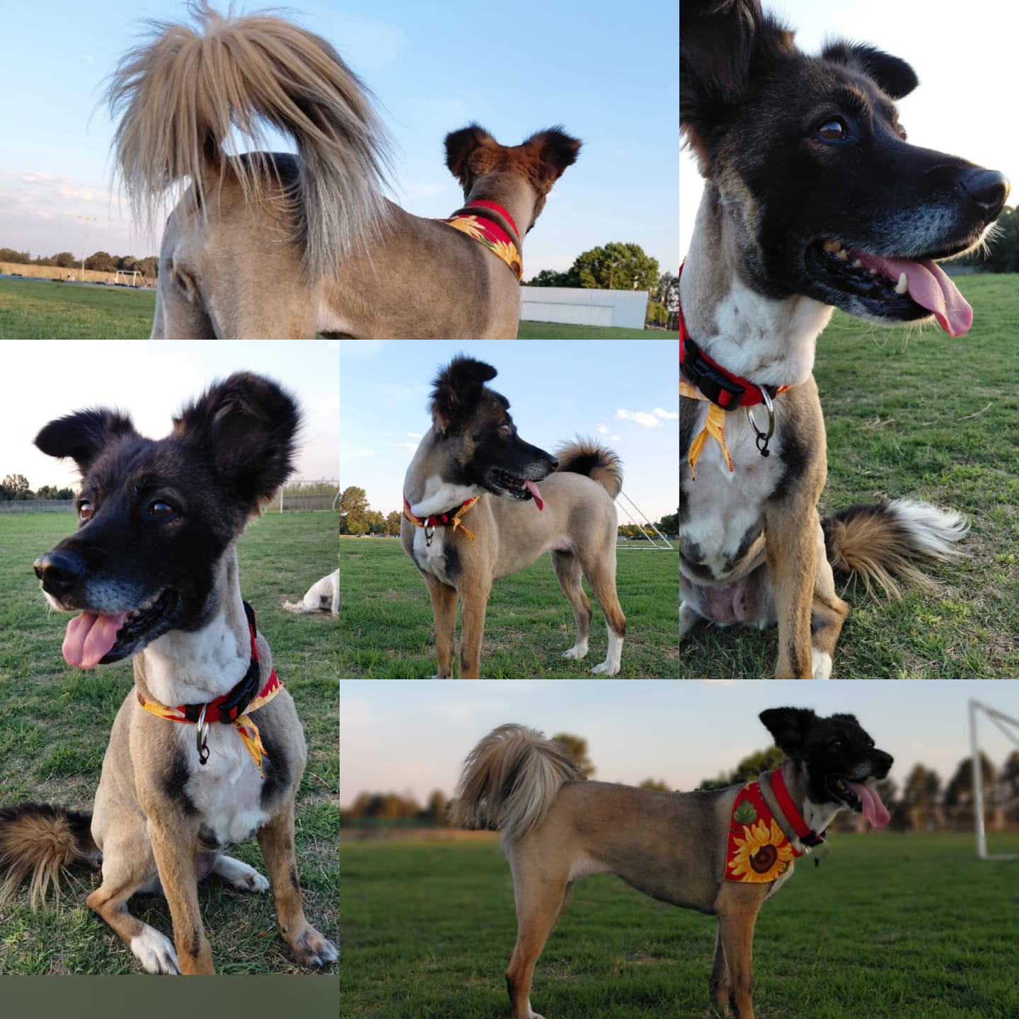 WhatsApp Image 2025-10-21 at 10.24.44_6212e5c8