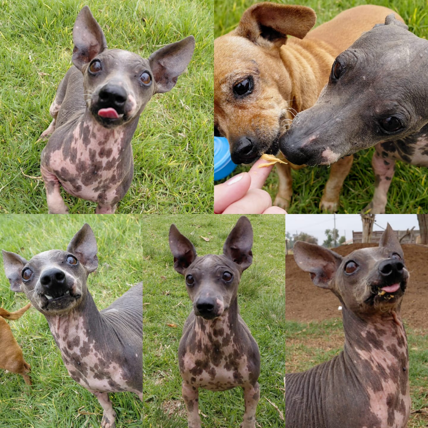 WhatsApp Image 2025-10-21 at 10.58.01_a322e427