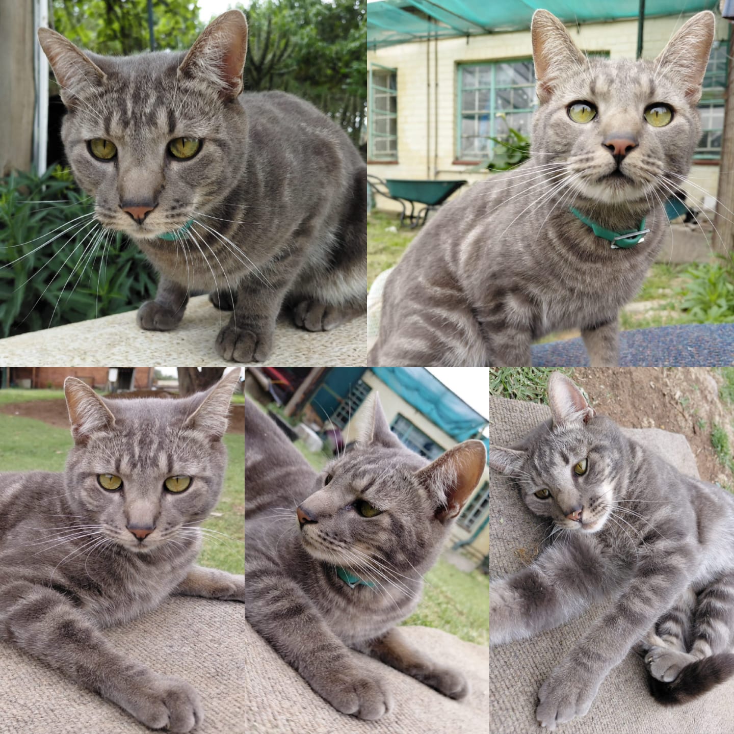 WhatsApp Image 2025-10-21 at 11.09.24_fcfca25e