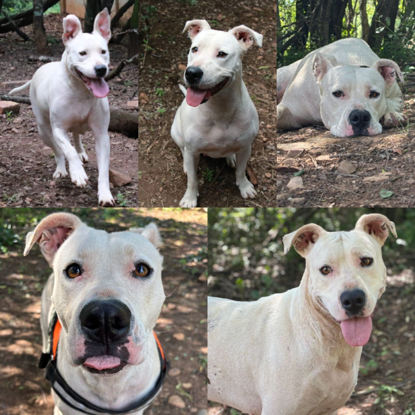 WhatsApp Image 2025-12-08 at 15.43.44