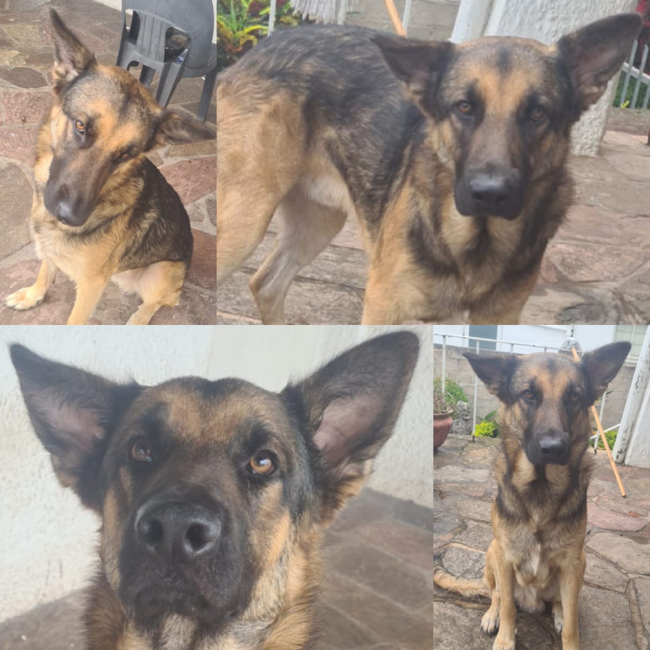 WhatsApp Image 2025-12-10 at 15.00.39