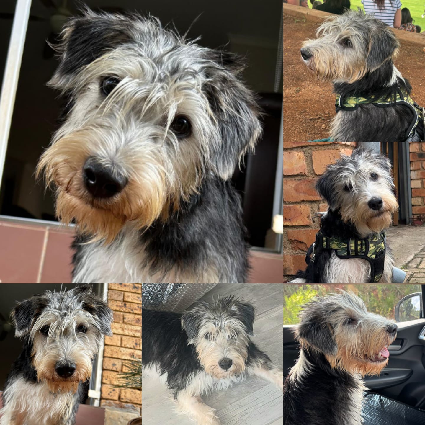 WhatsApp Image 2026-01-21 at 13.26.38