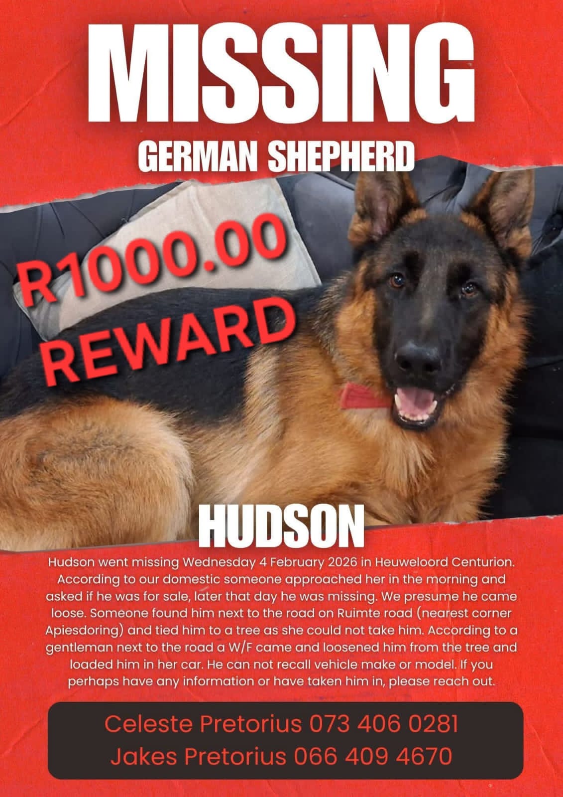 Hudson – MISSING from Centurion 04 Feb 2026