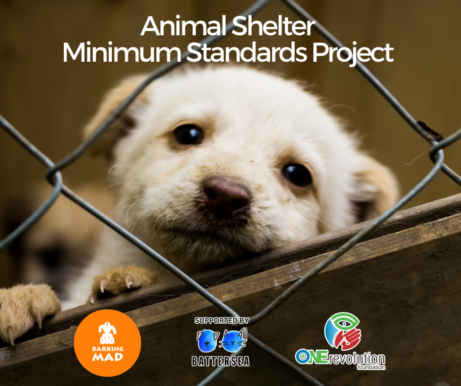 What Does “Good” Really Mean ?