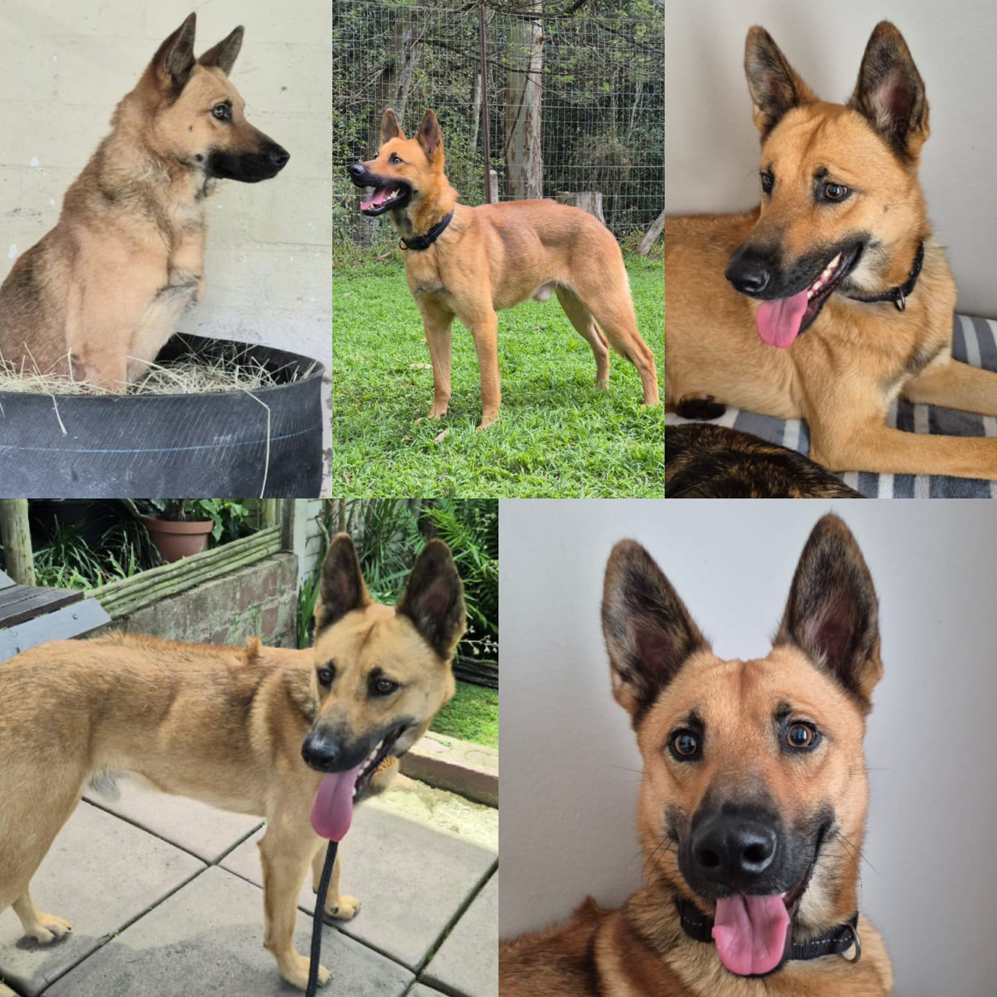 WhatsApp Image 2026-02-06 at 13.40.12