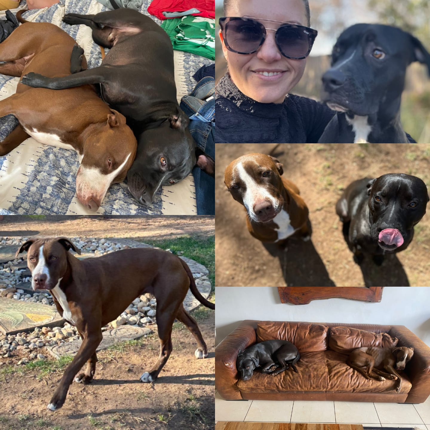 WhatsApp Image 2026-02-09 at 12.51.58