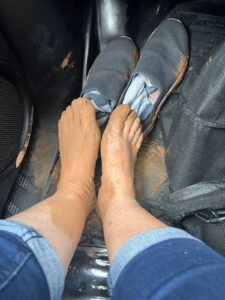 Shelter Minimum standards