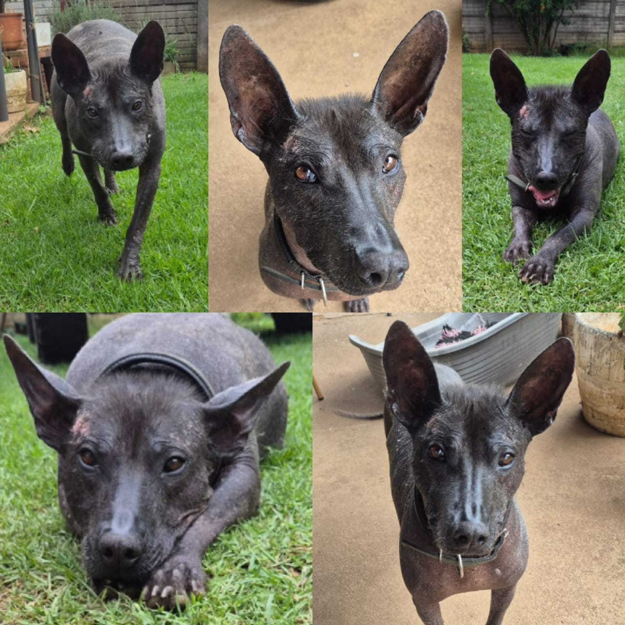 WhatsApp Image 2026-02-25 at 10.44.11