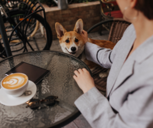 COFFEE AND DOGS